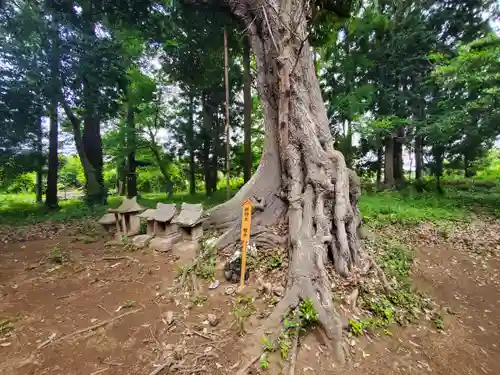 星宮神社の末社