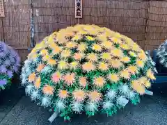 湯島天満宮の芸術