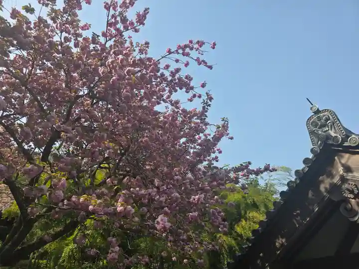元本坊 本願院(開山坊)(奈良県)
