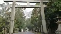 石清水八幡宮の鳥居