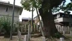 石津太神社の自然