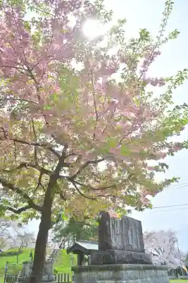 安禅寺(新潟県)