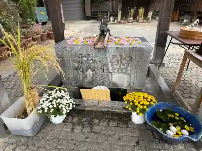 川越八幡宮(埼玉県)