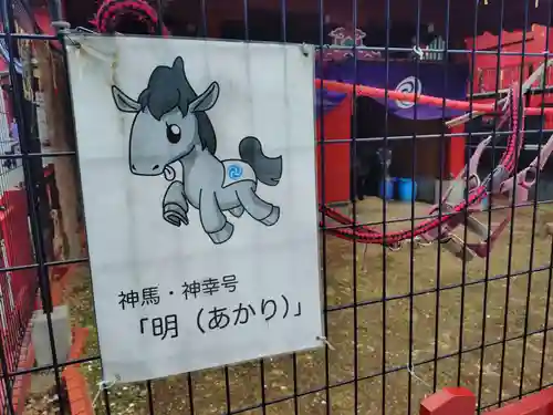 神田神社（神田明神）の動物