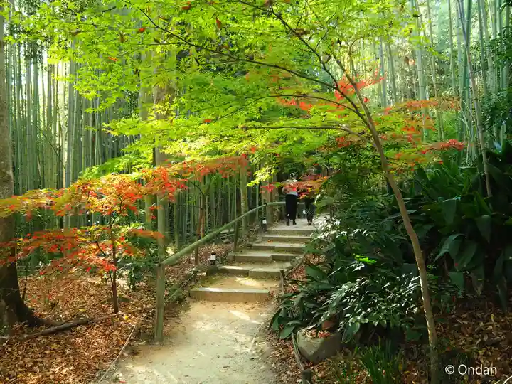 教林坊(滋賀県)