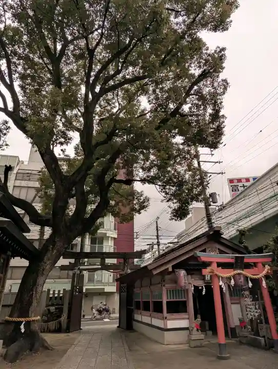 堀川戎神社の{uncategorized: "未分類", other: "その他", undefined: "問題あり", building: "その他建物", grave: "お墓", sacred_gate: "鳥居", guardian: "狛犬", statue: "像", buddha: "仏像", history: "歴史", nature: "自然", garden: "庭園", animal: "動物", pagoda: "塔", temizu: "手水舎", mountain_gate: "山門・神門", sanctuary: "本殿・本堂", subordinate: "末社・摂社", art: "芸術", scenery: "景色", jizo: "地蔵", ema: "絵馬", goshuin: "御朱印", omikuji: "おみくじ", items: "授与品その他", amulet: "お守り", goshuincho: "御朱印帳", eats: "食事", festival: "お祭り", votive_dance: "神楽", shichigosan: "七五三参", wedding: "結婚式", experience: "体験その他", initially: "初詣", around: "周辺", anti_infection: "感染症対策"}