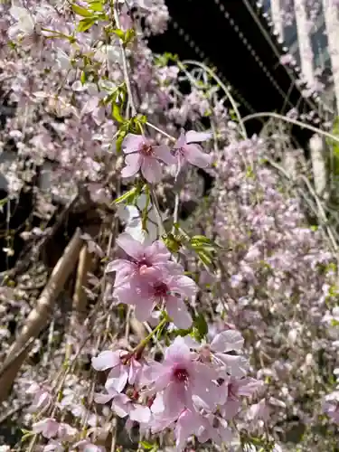 頂法寺（六角堂）(京都府)