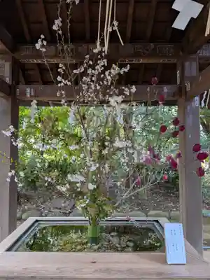 赤坂氷川神社(東京都)