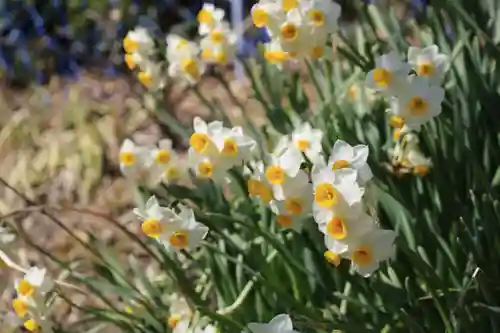 正法寺(京都府)