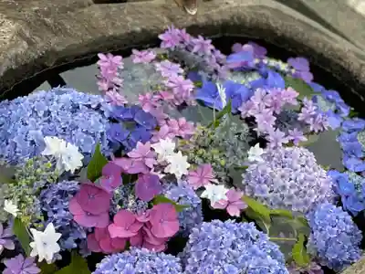 円通寺の手水舎