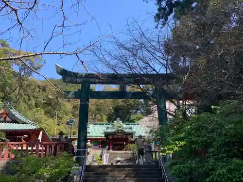 久能山東照宮の鳥居