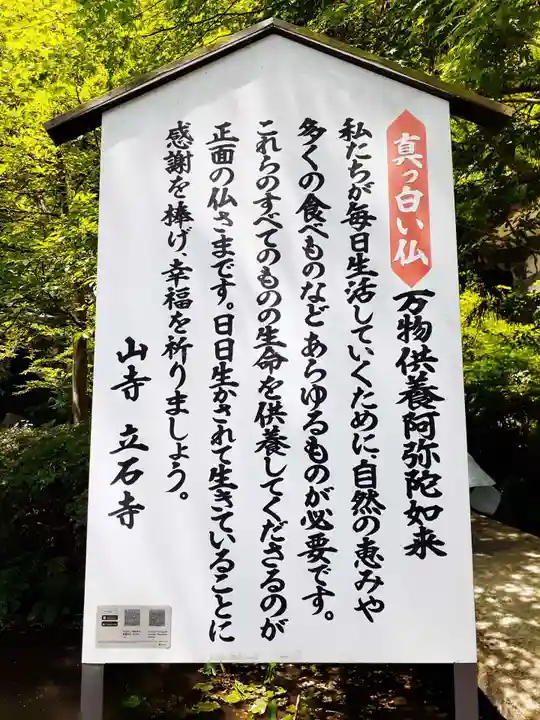 宝珠山 立石寺(山形県)