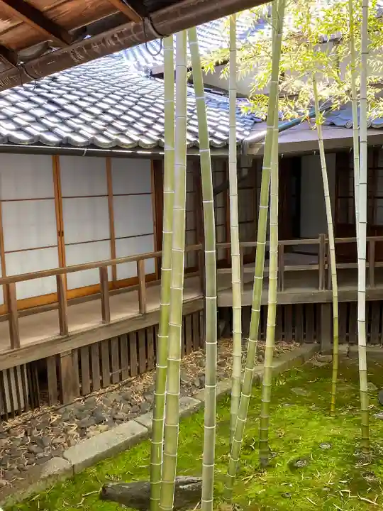 妙顯寺(妙顕寺)(京都府)