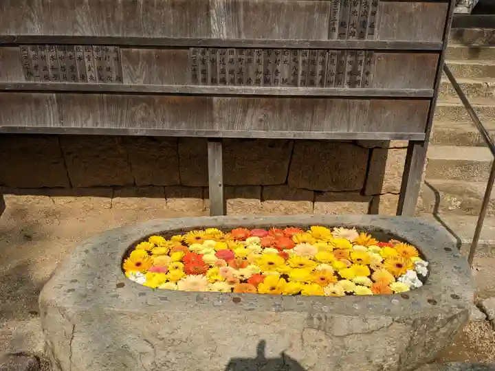 山﨑八幡宮の手水舎