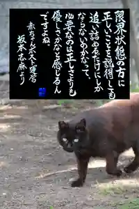 専念寺(大阪府)(2023年05月05日(金) 20時51分42秒投稿)