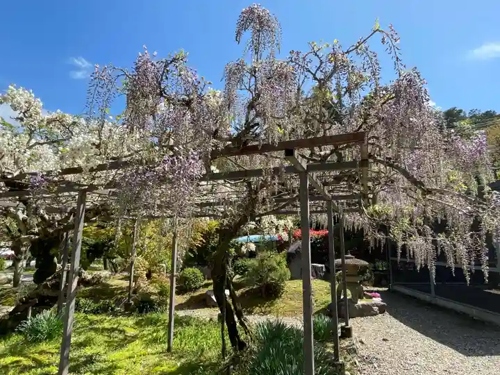 天台宗 五大山 白毫寺(兵庫県)