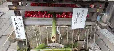 市比賣神社(京都府)