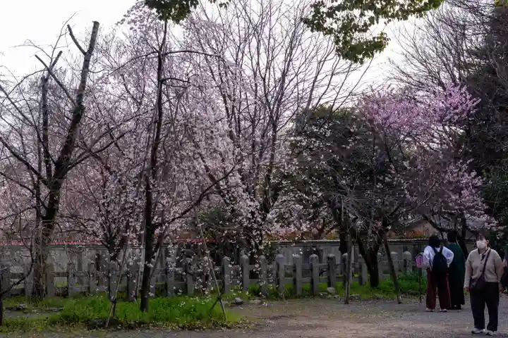 平野神社(京都府)