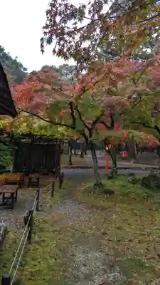 大原野神社(京都府)
