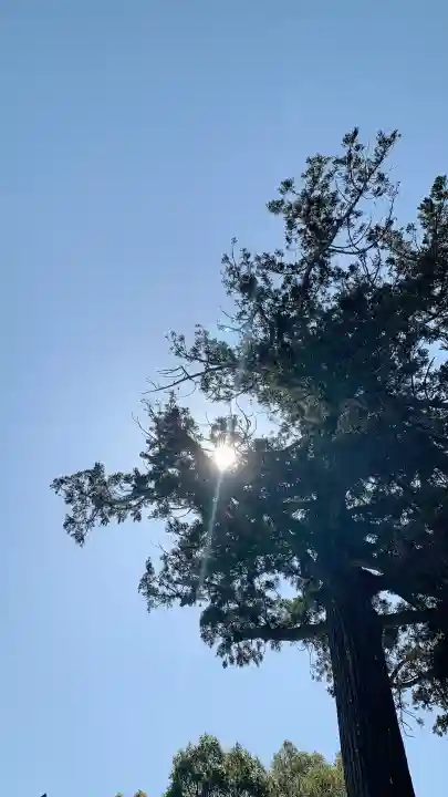 興国寺の{uncategorized: "未分類", other: "その他", undefined: "問題あり", building: "その他建物", grave: "お墓", sacred_gate: "鳥居", guardian: "狛犬", statue: "像", buddha: "仏像", history: "歴史", nature: "自然", garden: "庭園", animal: "動物", pagoda: "塔", temizu: "手水舎", mountain_gate: "山門・神門", sanctuary: "本殿・本堂", subordinate: "末社・摂社", art: "芸術", scenery: "景色", jizo: "地蔵", ema: "絵馬", goshuin: "御朱印", omikuji: "おみくじ", items: "授与品その他", amulet: "お守り", goshuincho: "御朱印帳", eats: "食事", festival: "お祭り", votive_dance: "神楽", shichigosan: "七五三参", wedding: "結婚式", experience: "体験その他", initially: "初詣", around: "周辺", anti_infection: "感染症対策"}