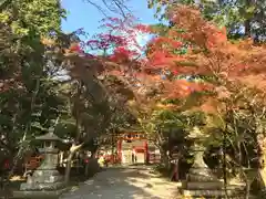 大原野神社の景色