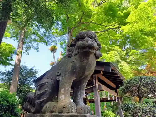 馬場氷川神社の狛犬