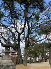 岩屋神社(兵庫県)