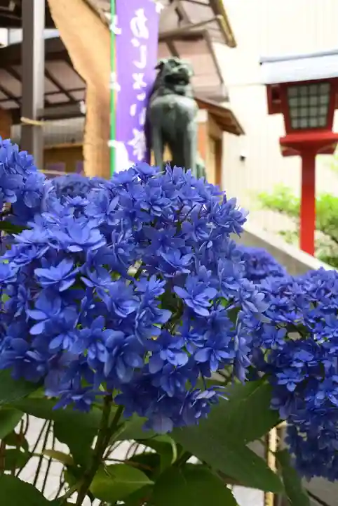 十番稲荷神社(東京都)