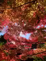 滑川神社 - 仕事と子どもの守り神(福島県)