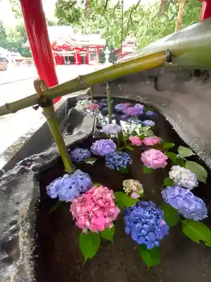 春日神社の手水舎