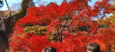 東福禅寺(東福寺)(京都府)