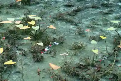根道神社(岐阜県)