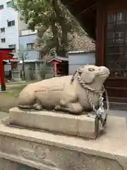 走水神社の狛犬