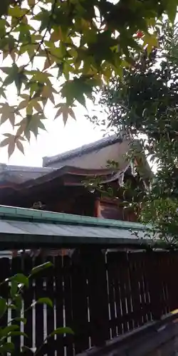 和田神社の本殿・本堂