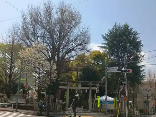 鳩森八幡神社の鳥居