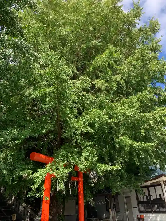 雷神社(神奈川県)