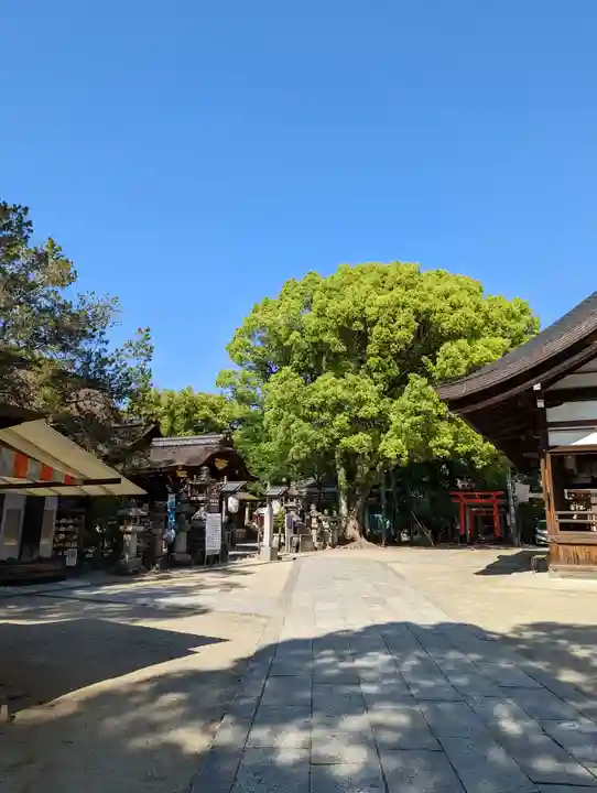 藤森神社(京都府)