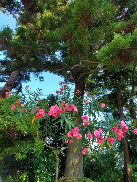 上合寺(福島県)