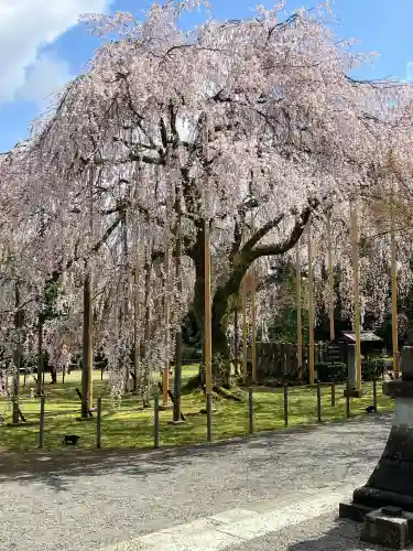 足羽神社の{uncategorized: "未分類", other: "その他", undefined: "問題あり", building: "その他建物", grave: "お墓", sacred_gate: "鳥居", guardian: "狛犬", statue: "像", buddha: "仏像", history: "歴史", nature: "自然", garden: "庭園", animal: "動物", pagoda: "塔", temizu: "手水舎", mountain_gate: "山門・神門", sanctuary: "本殿・本堂", subordinate: "末社・摂社", art: "芸術", scenery: "景色", jizo: "地蔵", ema: "絵馬", goshuin: "御朱印", omikuji: "おみくじ", items: "授与品その他", amulet: "お守り", goshuincho: "御朱印帳", eats: "食事", festival: "お祭り", votive_dance: "神楽", shichigosan: "七五三参", wedding: "結婚式", experience: "体験その他", initially: "初詣", around: "周辺", anti_infection: "感染症対策"}