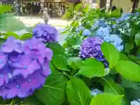 大宝八幡宮(茨城県)