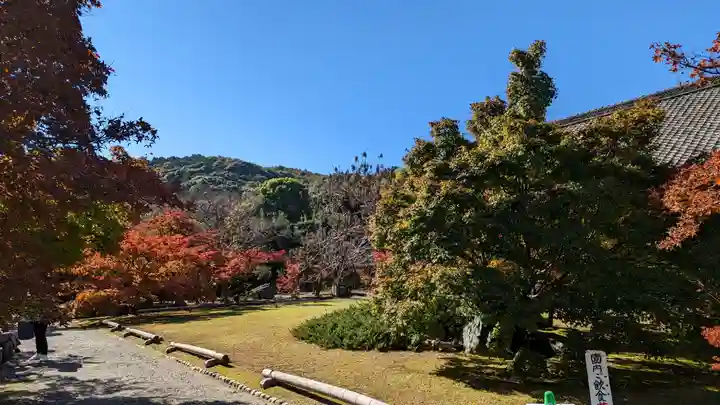 勧修寺(京都府)