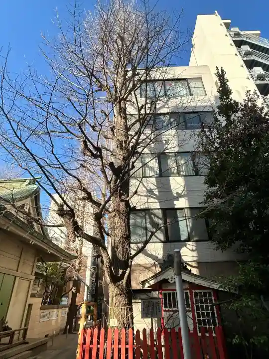 銀杏岡八幡神社(東京都)