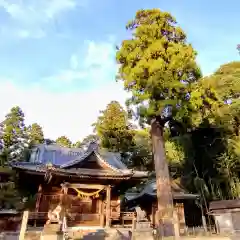 八幡宮(愛知県)