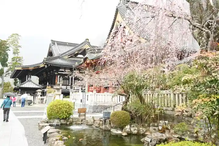 久遠寺(山梨県)