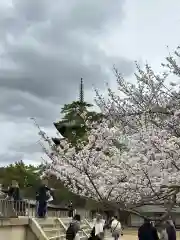 興福寺 南円堂(奈良県)