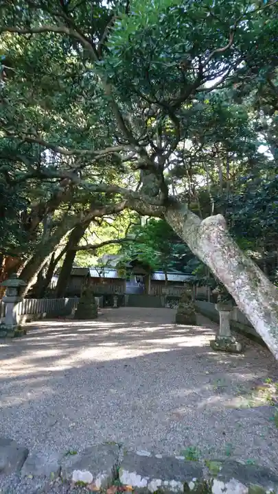 竹野神社のその他建物