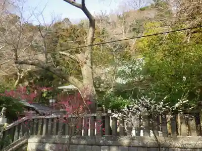 御霊神社のその他建物