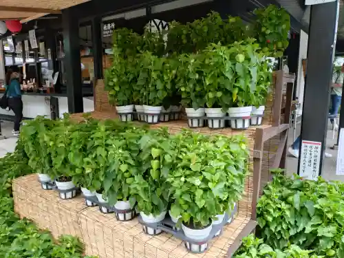 愛宕神社の庭園