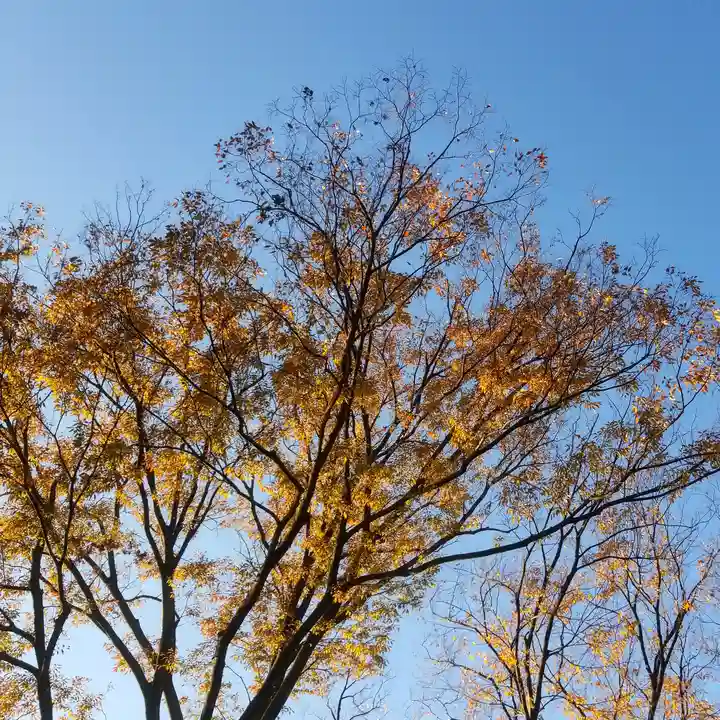 鹿島神社の自然