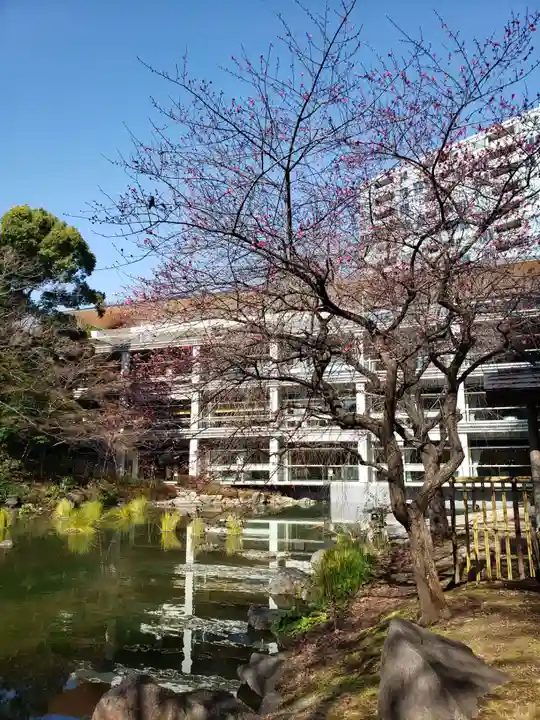 東郷神社(東京都)